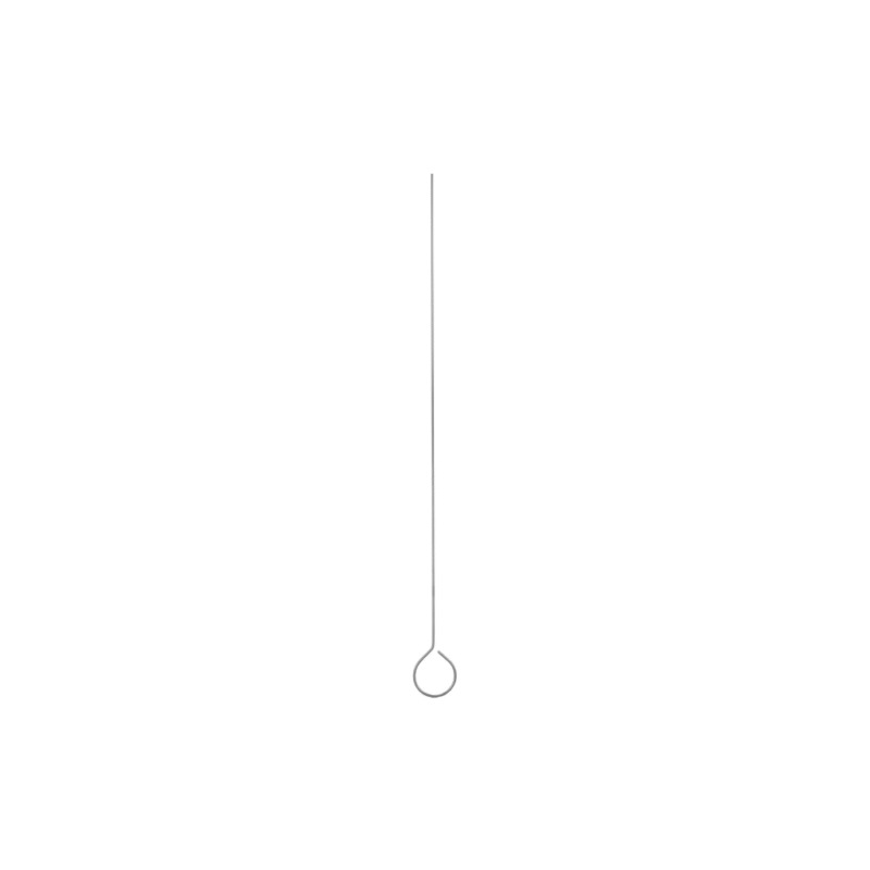 Cleaning Stylet