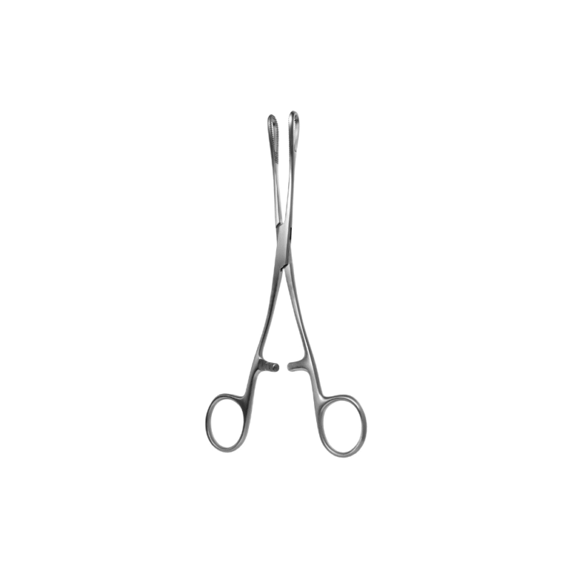 Rampley Sponge Forceps