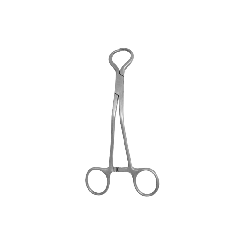 gForceps, Lewin Bone